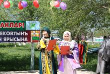 День села в Ново-Дмитриевке