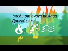 Embedded thumbnail for Лесоохрана Лесной пожар